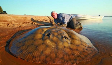 Weekend: Entrevista a Jeremy Wade (Monstruos de Río)