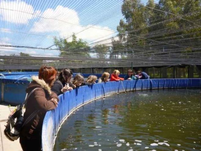 La cría del pejerrey en Chascomús