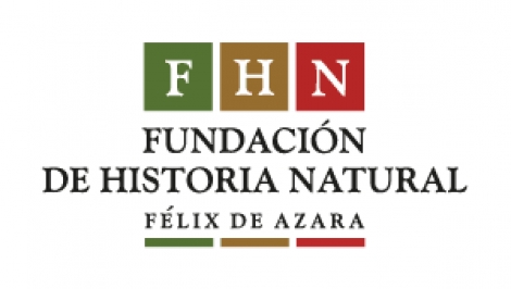 Pejerrey: nueva especie