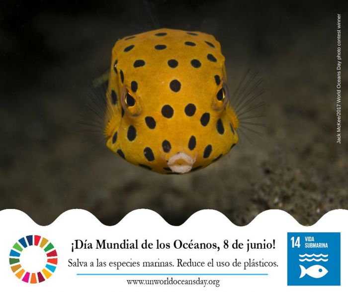 8 de junio: Día Mundial de los Océanos