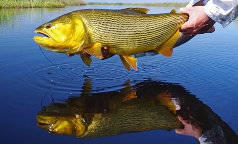 Escuela de Pesca con Mosca